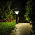 PVB207 Insitu 8 Web Rez