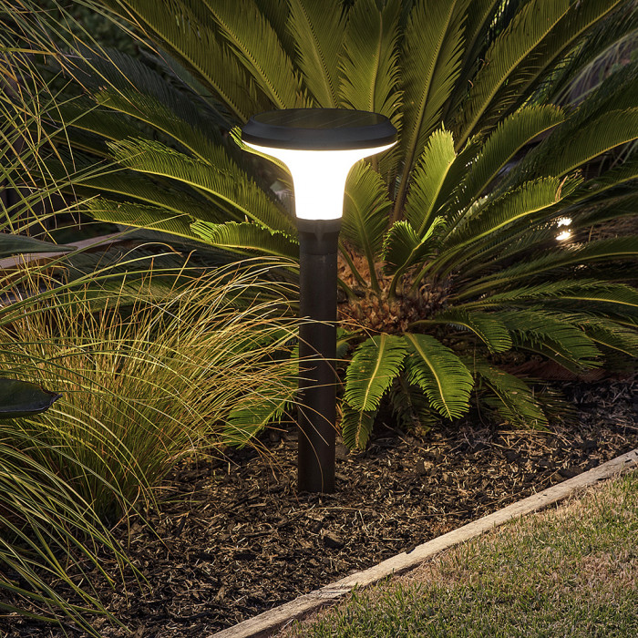 PVB300 1 Fern Garden Bollard Light Shown insitu Web Rez