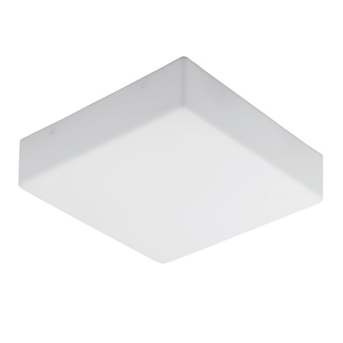 CL300 Web Rez