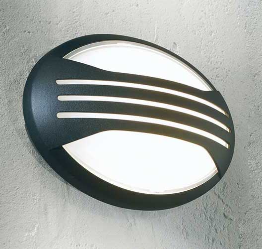 GJ2267 BL + GJ2143 insitu photo