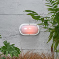 LJW6001 WH on Day Web Rez