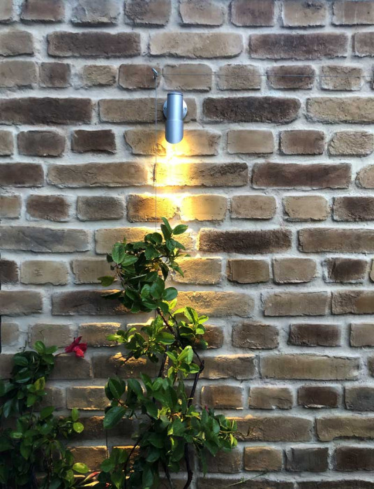 LLED30101 SI insitu 5 web