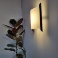 Nordica Wall Light in Black Close Up Next To Plant Web Rez
