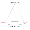 PAR38 15WLED DL Cone diagram