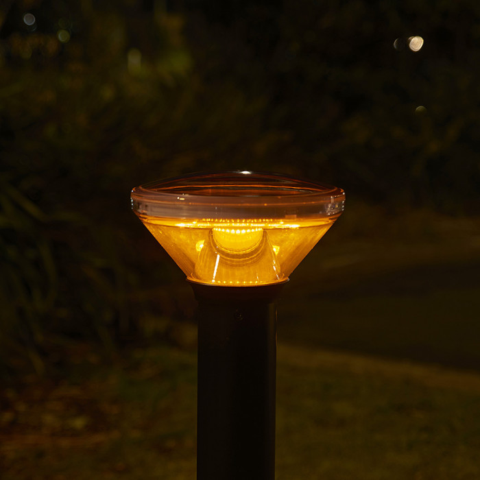 PVB909 BL Tui Night Sky insitu 4 Web Rez