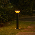 PVB909 BL Tui Night Sky insitu 7 Web Rez
