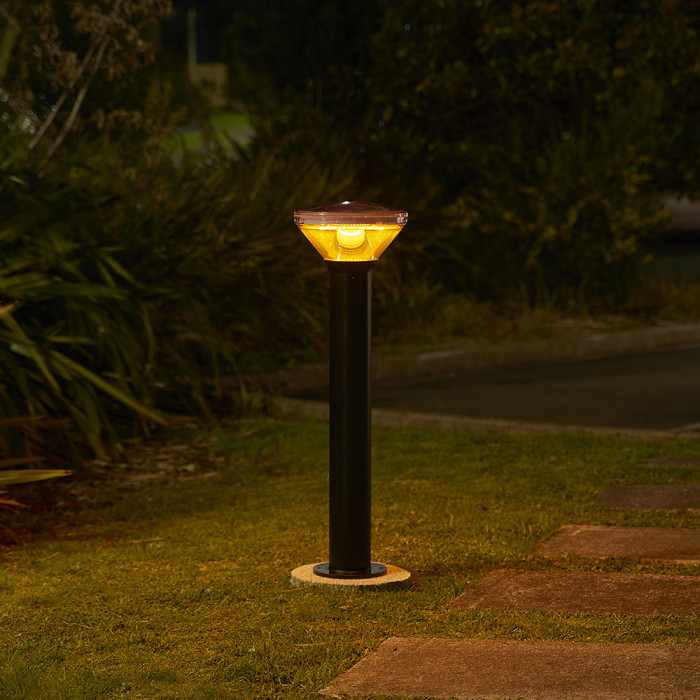 PVB909 BL Tui Night Sky insitu 7 Web Rez