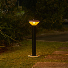 PVB909 BL Tui Night Sky insitu 7 Web Rez