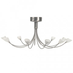 R80228 10C SC Web Rez