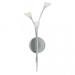 R80228 3B SC Web Rez