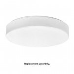 Replacement Lens for CL207 12 and CL207 36 Web Rez