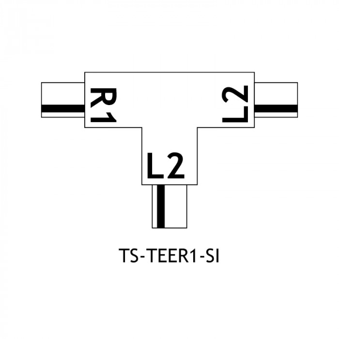 TS TEER1 SI Diagram