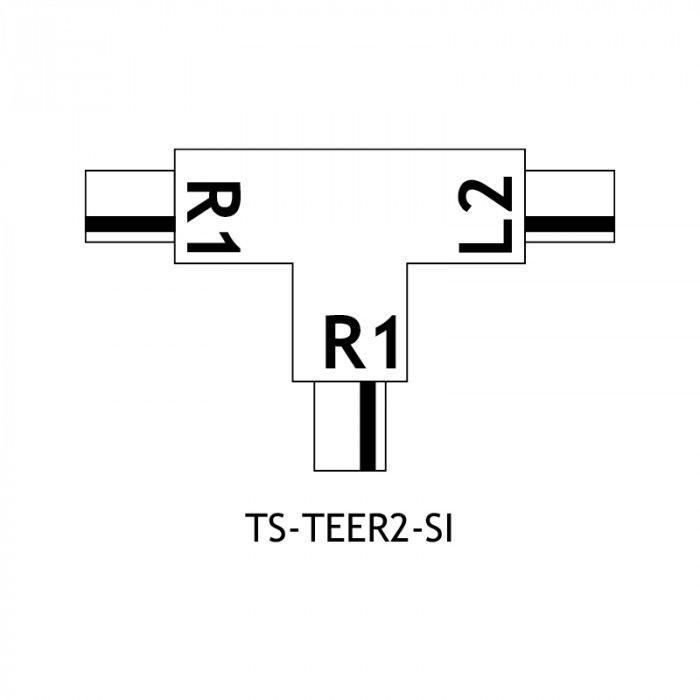 TS TEER2 SI Diagram