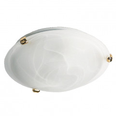 CLL8508-BS.psd.jpg