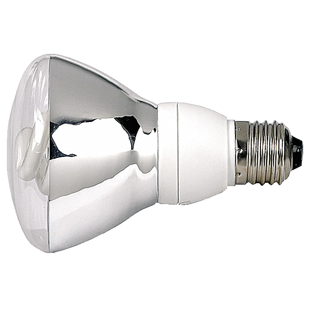 R80 Led Light Bulbs Nz | Shelly Lighting